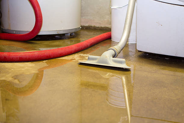 Best Fire Damage Restoration  in Aspen Hill, MD